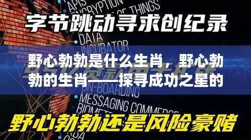 野心勃勃的生肖探寻,成功之星引领力量揭秘