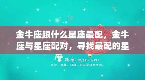 金牛座最佳星座配对伴侣,寻找最配的星座伴侣