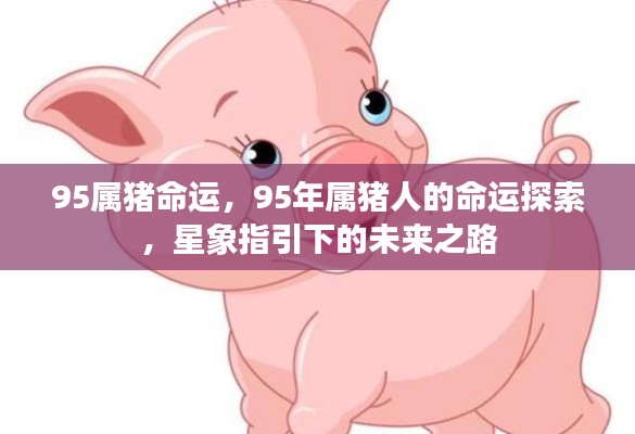 星象指引下的未来之路,揭秘95年属猪人的命运探索