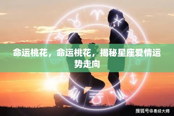 揭秘星座爱情运势走向,命运桃花深度解析