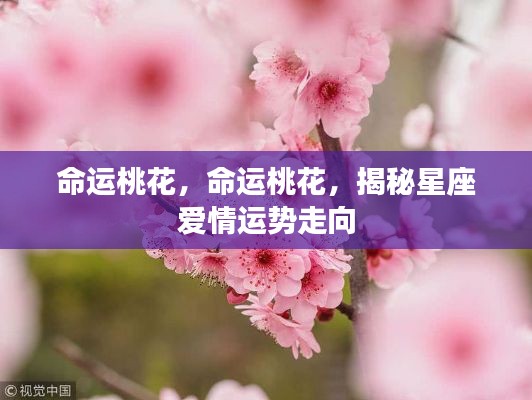 揭秘星座爱情运势走向,命运桃花深度解析