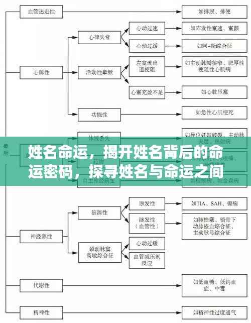 姓名与命运,探寻背后的神秘联系,解锁命运密码