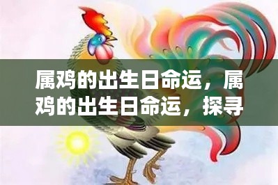 金鸡独立之路,探寻属鸡出生日的命运轨迹