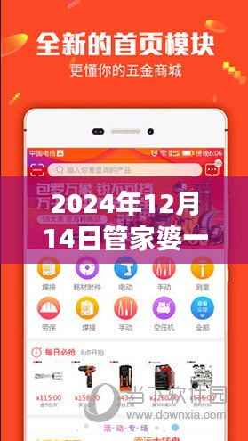 2024年12月14日管家婆一码一肖100准:新时代的代码之谜