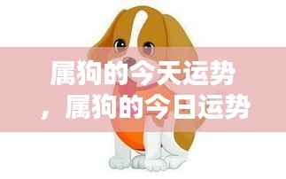 属狗的今日运势展望,把握机遇,迎接挑战