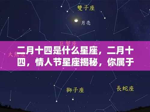 二月十四情人节星座揭秘,揭秘你的星座属性