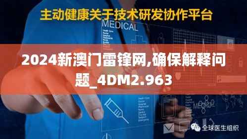 2024新澳门雷锋网,确保解释问题_4DM2.963