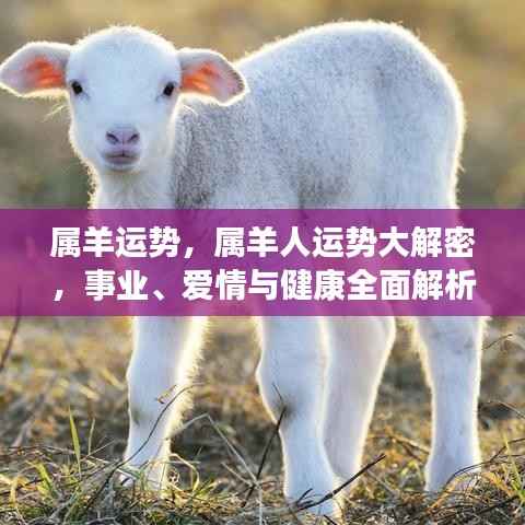 属羊运势大揭秘,事业、爱情与健康全面展望