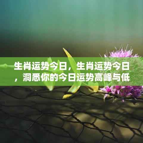 集腋成裘 第3页