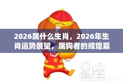 2026年属狗者的运势展望,辉煌篇章开启