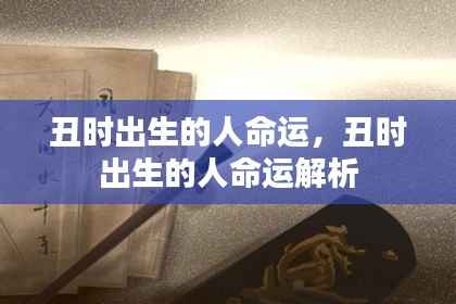 丑时出生的人命运详解与解析