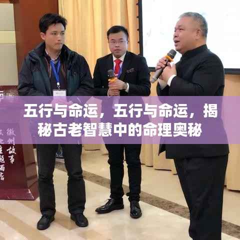 五行与命运,揭秘古老智慧中的命理奥秘之道