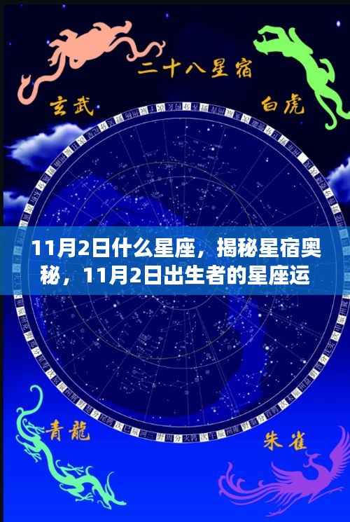 揭秘星宿奥秘,11月2日出生者的星座运势解析及星座特点探索