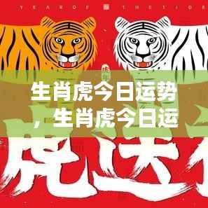 生肖虎今日运势详解