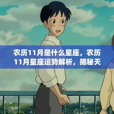 农历11月星座运势解析,天蝎座与射手座的神秘面纱揭晓