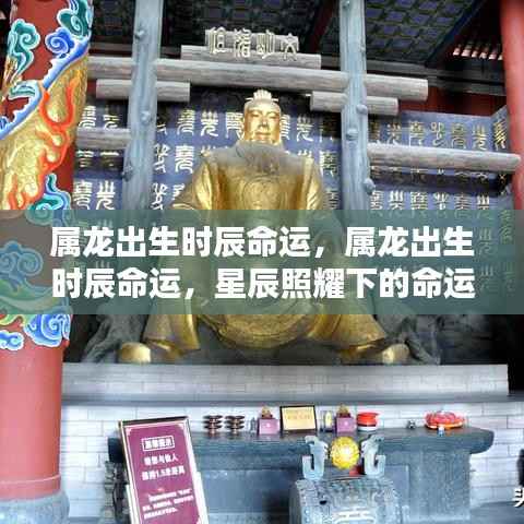 属龙出生时辰与命运,星辰照耀下的命运轨迹