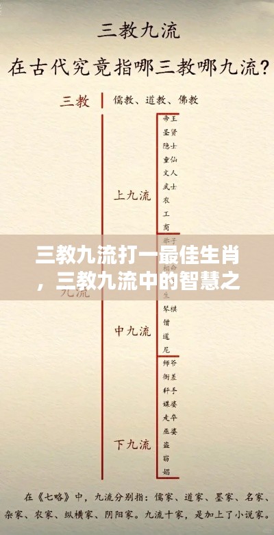 三教九流智慧之星,揭秘生肖运势与最佳生肖归属