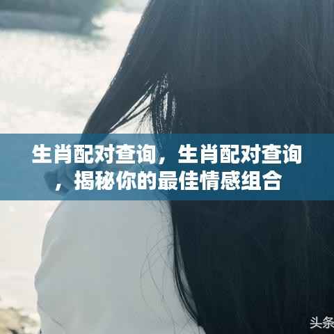 揭秘生肖配对,最佳情感组合查询!