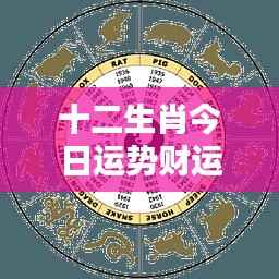 十二生肖今日运势财运详解分析揭秘今日财运走向