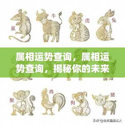 揭秘属相运势,未来走向查询与预测