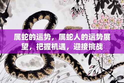 属蛇人的运势展望,把握机遇,迎接挑战,展望美好未来