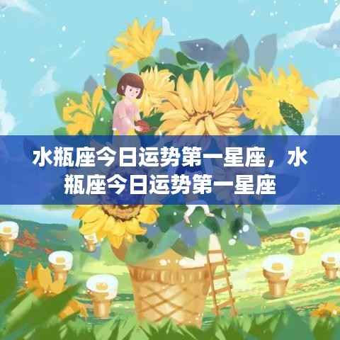 水瓶座今日运势独占鳌头,第一星座运势解析