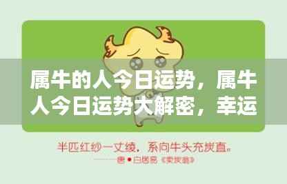 属牛人今日运势揭秘,幸运与挑战并存,机遇与努力共舞