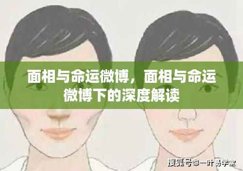 面相与命运在微博上的解读与探讨