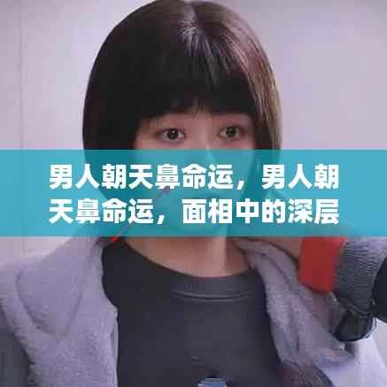 男人朝天鼻的面相解读,命运与人生轨迹的微妙关联探索