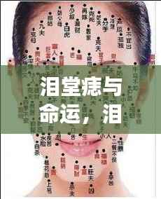 泪堂痣与命运,神秘面相解读命运密码的奥秘