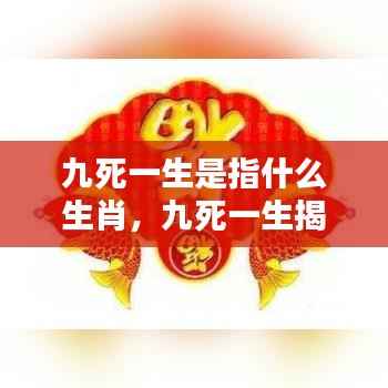 揭秘生肖传奇,九死一生背后的生肖秘密