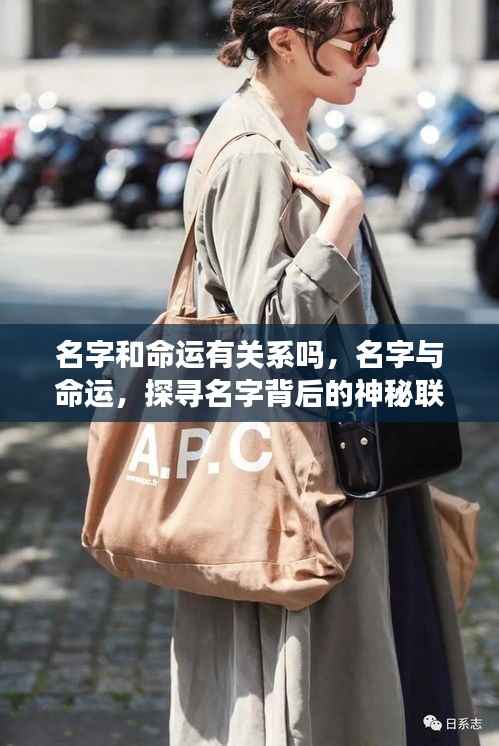 名字与命运,神秘联系的探寻之旅