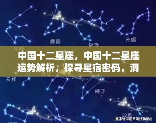 中国十二星座运势深度解析,探寻星宿奥秘,洞悉未来走向