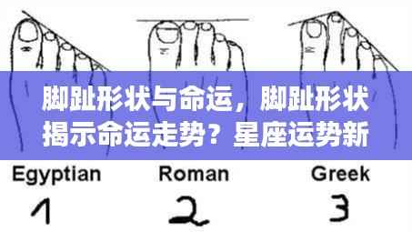 脚趾形状与命运走势,星座运势新解读揭秘!