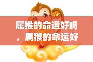 属猴人的命运详解,星座运势与性格特质深度解析