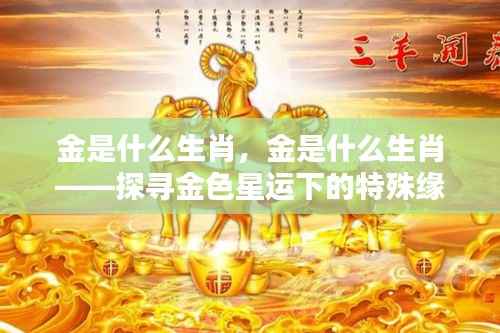 金色星运下的生肖奇缘,探寻金与特殊缘分的神秘联系