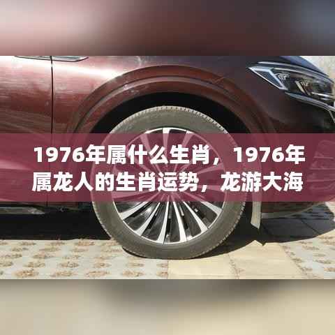 1976年属龙人的运势及生肖特点,龙游大海,蓄势待发