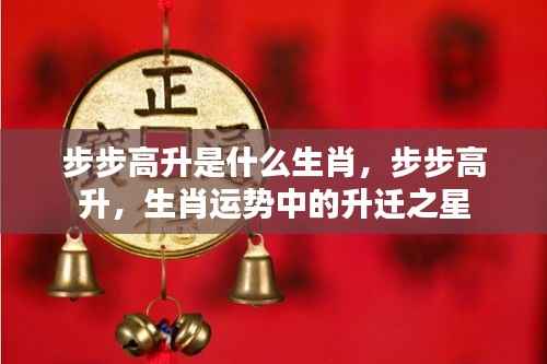 量入为出 第4页