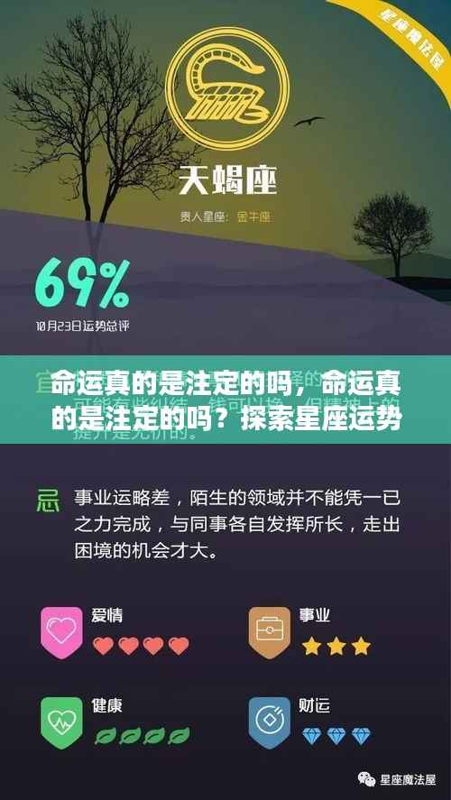 探索星座运势真相,命运是否注定?