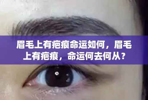 眉毛疤痕与命运，疤痕影响及命运展望