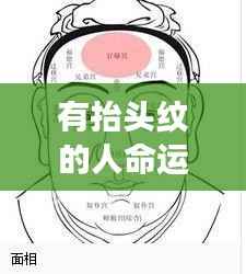 抬头纹与命运,面相解读人生轨迹的微妙关联