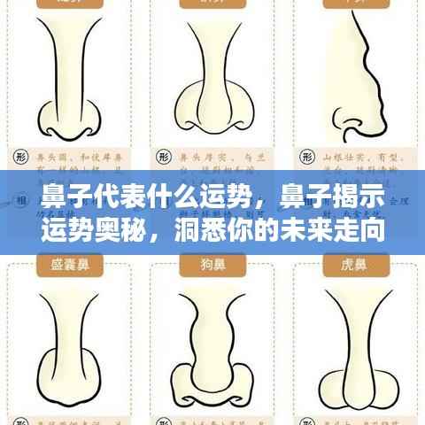 鼻子揭示运势奥秘,洞悉未来走向的线索