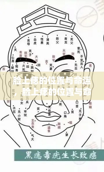 揭秘脸上痣的位置与命运,痣相学中的奥秘探讨