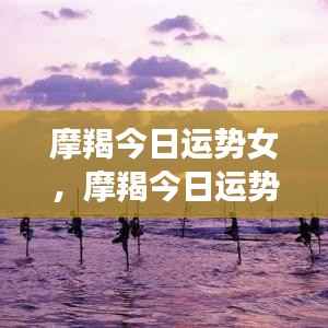 摩羯女性今日运势,职场与情感双重关注下的运势展望