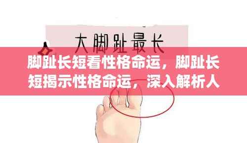 脚趾长短揭示性格命运之谜，探索人与命运的微妙联系之道