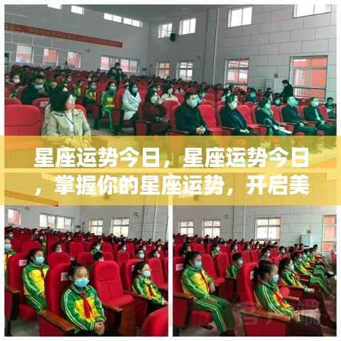 今日星座运势概览,掌握运势,开启美好新篇章