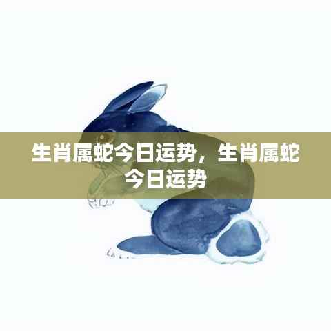 生肖属蛇今日运势详解