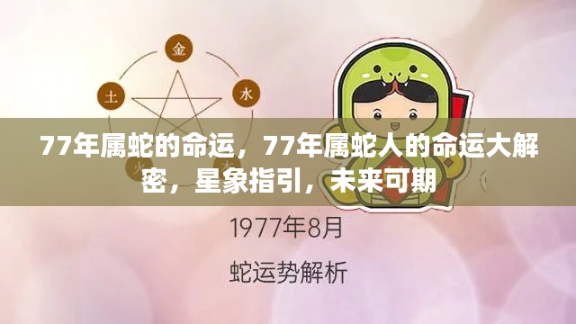 揭秘1977年属蛇人的命运走向,星象指引下的未来可期