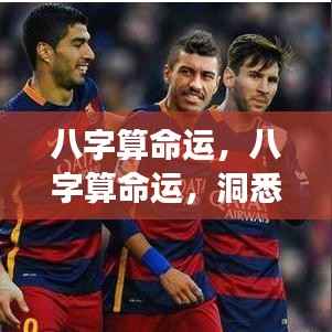 八字洞悉命运轮盘,深度解析命运逻辑