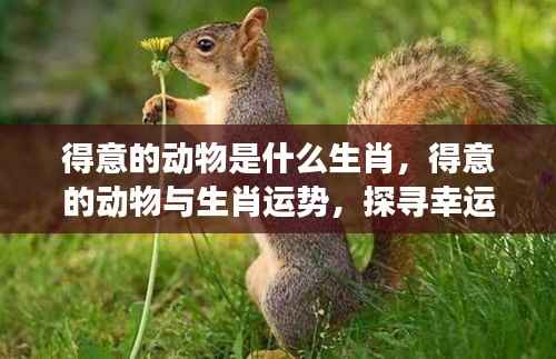 得意动物与生肖运势,探寻幸运象征的奥秘